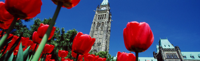 Photo of Peace Tower with tulips in the foreground