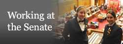 Working at the Senate